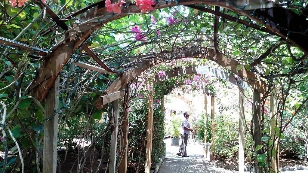 Hotel Catcha Falling Star Negril