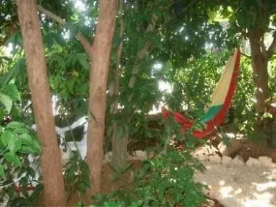 Catcha Falling Star Negril